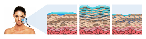 有効成分導入 有効成分導入